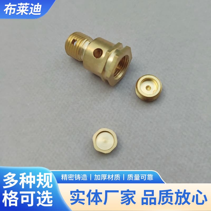 High temperature fumigation machine, high pressure steam cleaning machine, steam cleaning machine, decontamination and oil removal, pressure relief valve, safety valve, copper accessories