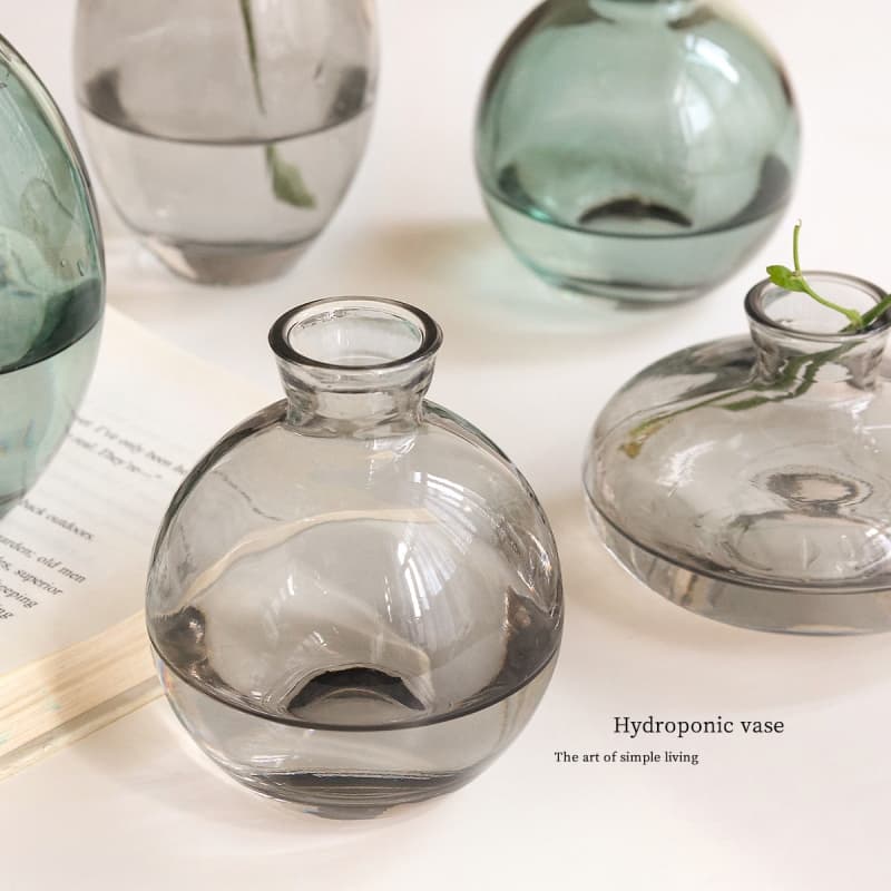 Hydroponics mini vase transparent glass bottle flower arrangement vessel retro living room dining table ornaments office desk decoration
