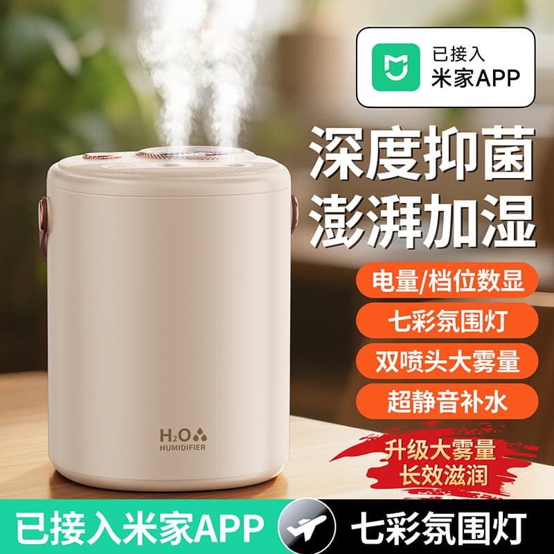 Humidifier for Home Quiet Bedroom Pregnant Women Baby Small Office Desktop Dormitory Large Mist Volume Air Atomizer
