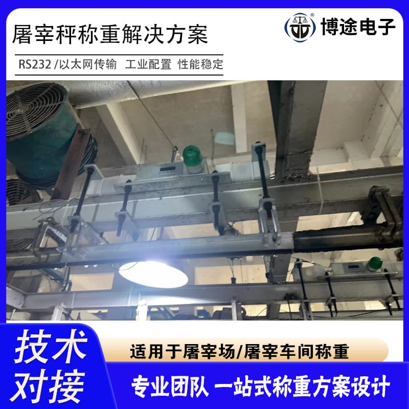 Slaughterhouse Rail Scale, Livestock (Pigs, Cattle, Sheep) Suspended Rail Crane Scale, Commercial Static/Dynamic Hook Electronic Scale Weighing Solution