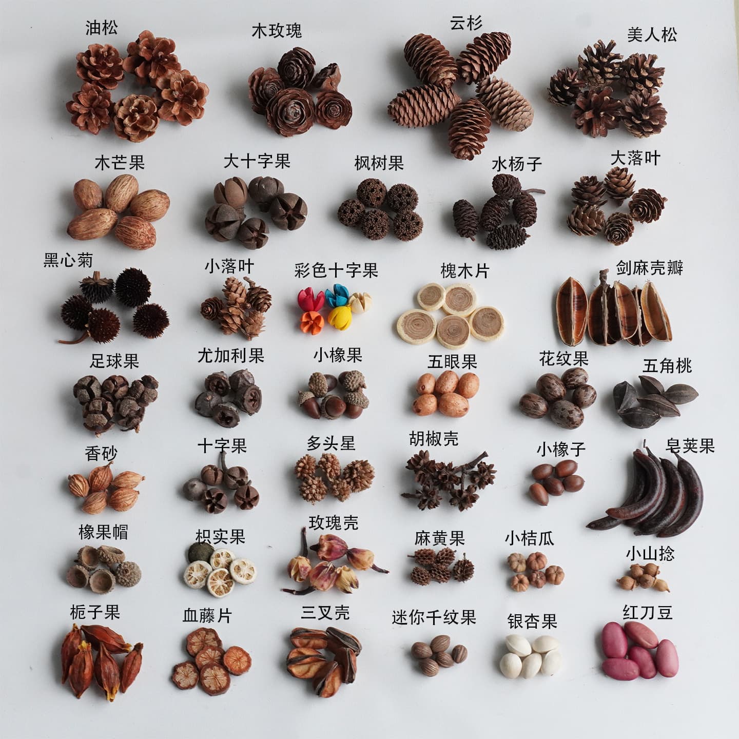 Natural Acorns, Pinecones, Pods, and Doll Decor DIY Craft Material Kit for Kindergarten Environment Creation and Photography Props