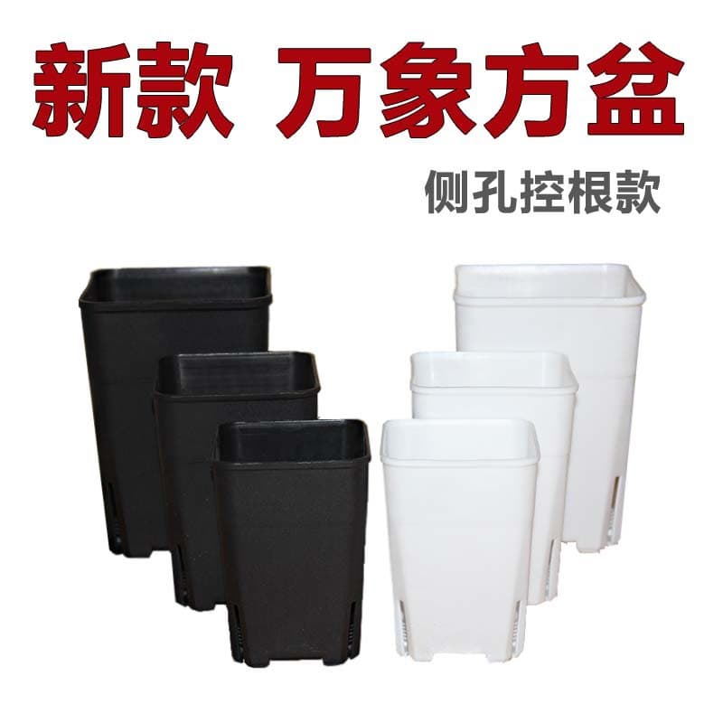 Root Control Square Plastic Flower Pot, Japanese Style Breathable Square Universal Pot, Black White, Succulent Pot, Small and Large Sizes