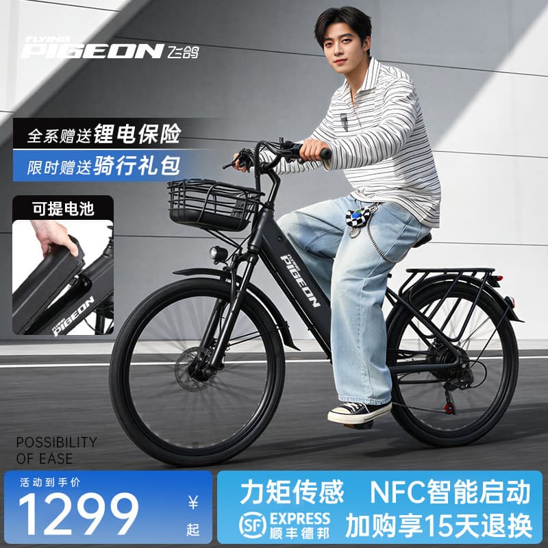 Feige Removable Battery Electric Power-Assisted Mountain Bike, New National Standard Lithium Battery, Commuter E-Bike for Men and Women