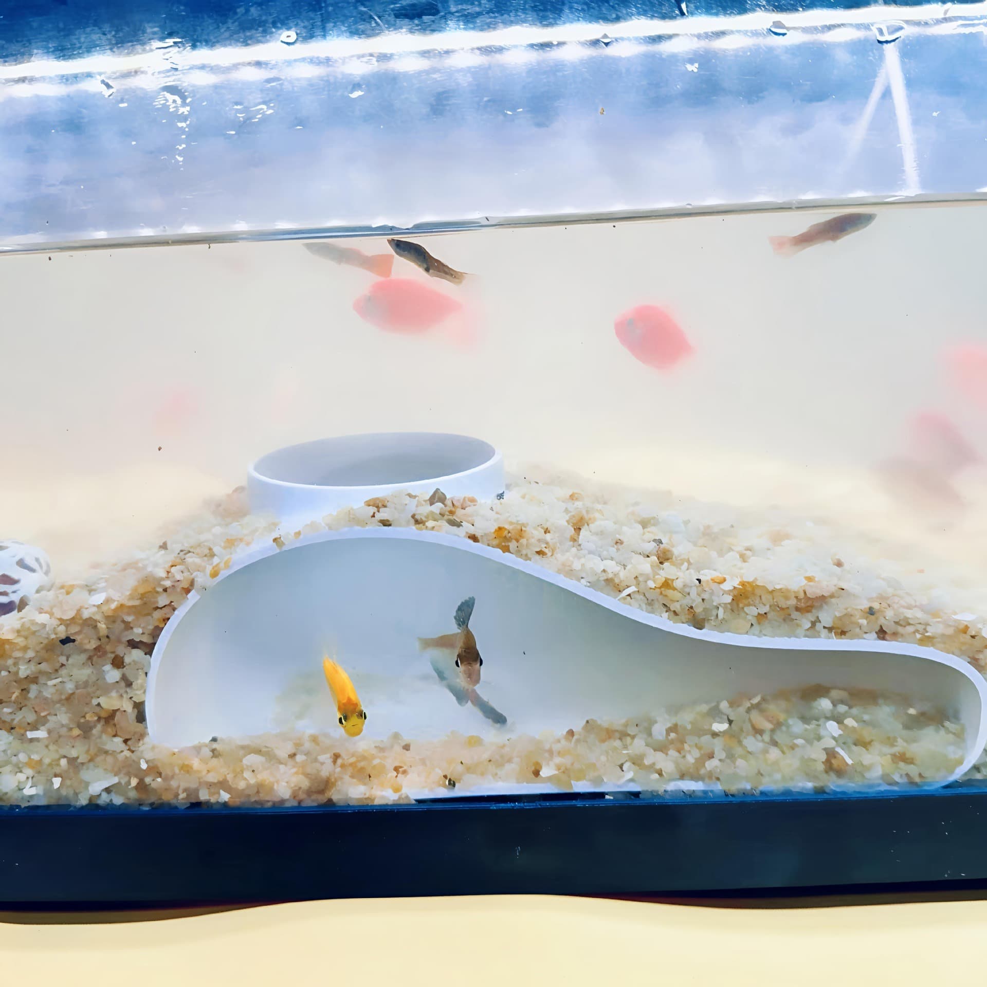 New Aquarium Single Hole Cave Corner Habitat Hiding Spot for Fish and Shrimp Aquarium Decor Fish Tank