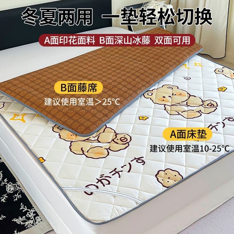 Dual-season thin mat with rattan surface for summer and soft padding for winter, foldable for student dorms, rentals, and home use.