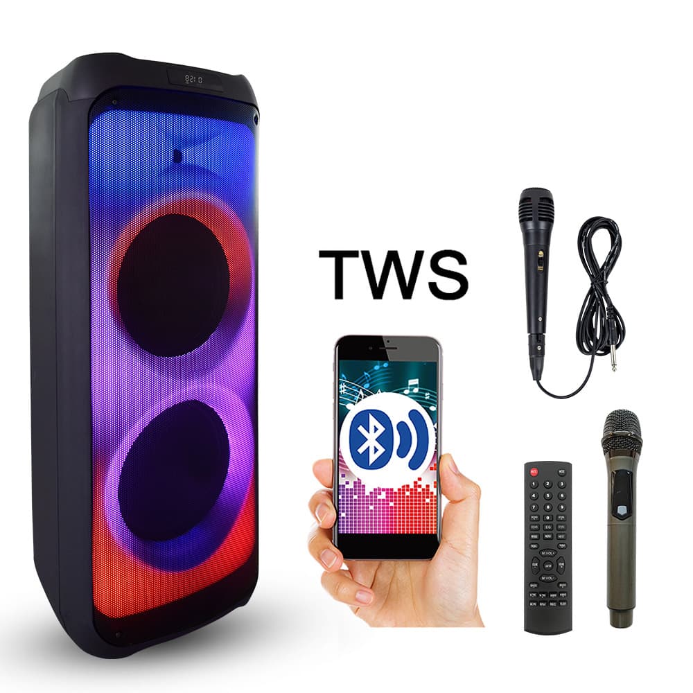 Feiyang Audio Large Dual Speaker 12-inch Outdoor Square Dance Performance Indoor Party Stage Speaker Large Volume