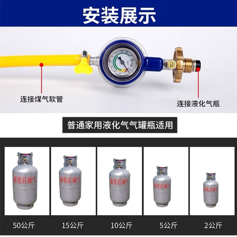 9P1E LPG Explosion-Proof Regulator Household Gas Cylinder Low Pressure Valve Gas Stove Water Heater Stabilizing Valve Gas Bottle