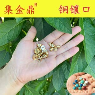 Wholesale Jijinding Smoking Accessories Decorative Snuff Bottle Brass Fittings Inlay Brass Cap Stopper Gourd Copper Head