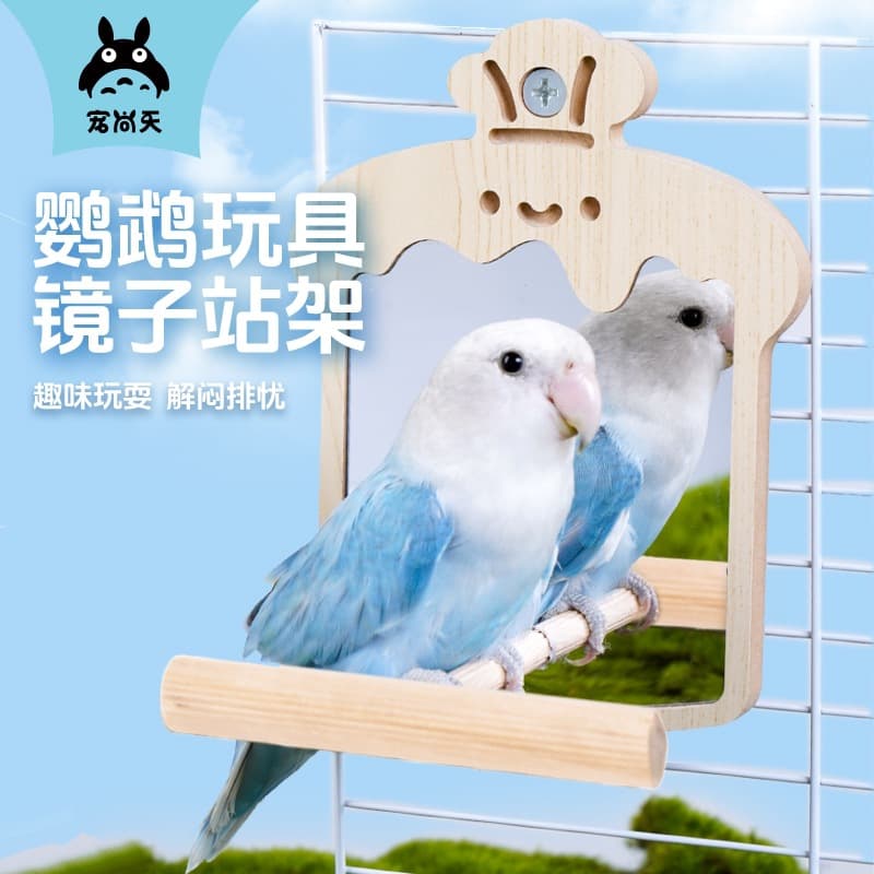 Parrot Mirror Stand, Cockatiel, Lovebird, Budgie Perch, Stand Rod, Stand Pole, Stand Stick, Bird Cage Decoration, Toys and Supplies