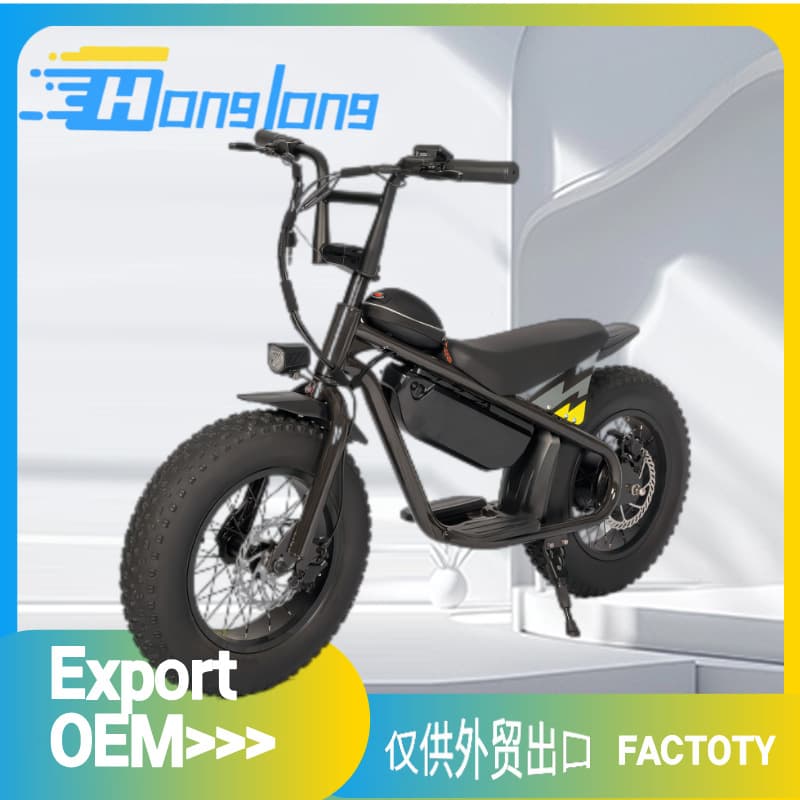 Mountain Hybrid Electric Fat Tire Bike Electric Bicycle 16 Inch Electric Moped for Kids and Adults