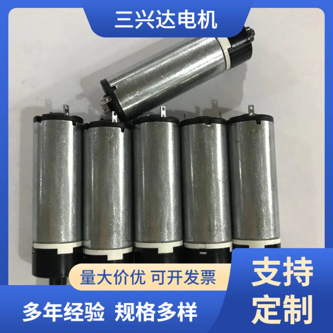 Factory Supply Micro DC Gear Motor for Small Robots and Small Machinery Equipment