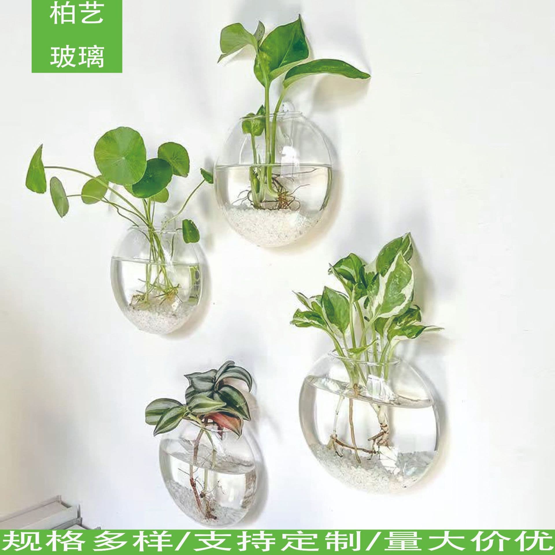 Creative Wall-Mounted Glass Vase Flat Biscuit Vase Set of 2, 4, 6 for Hydroponic Plants Wall Vase