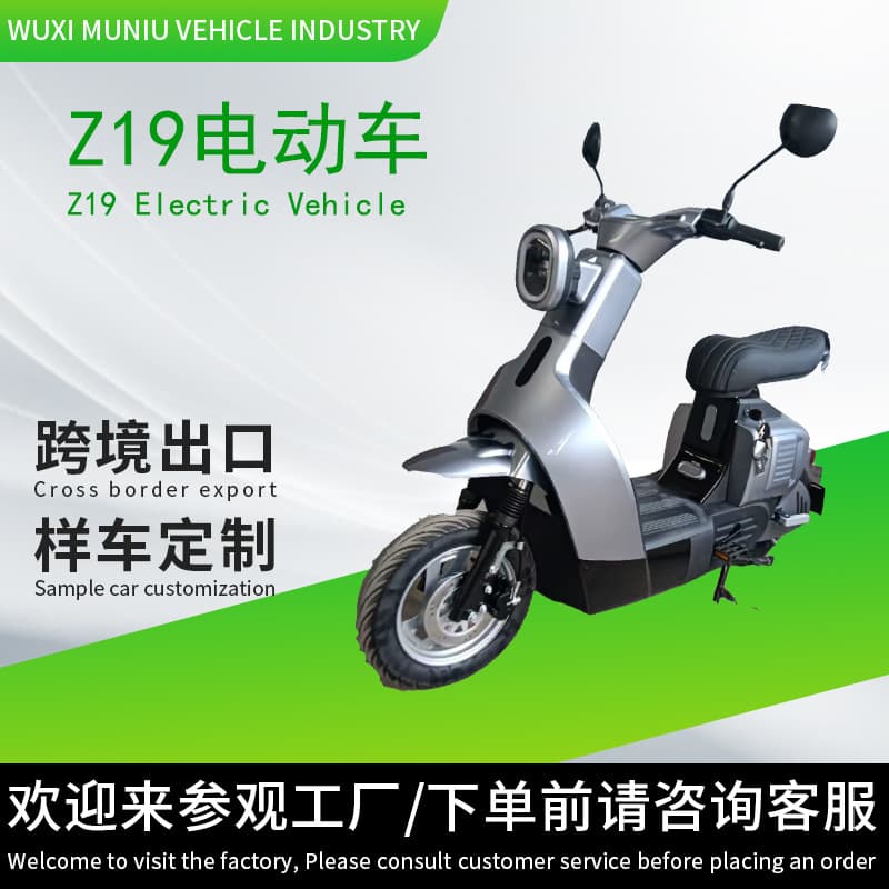 Electric Scooter Factory Supply Vietnam Z19 Commuter Export Foreign Trade Two-Wheel Electric Scooter Commuting Electric Bicycle
