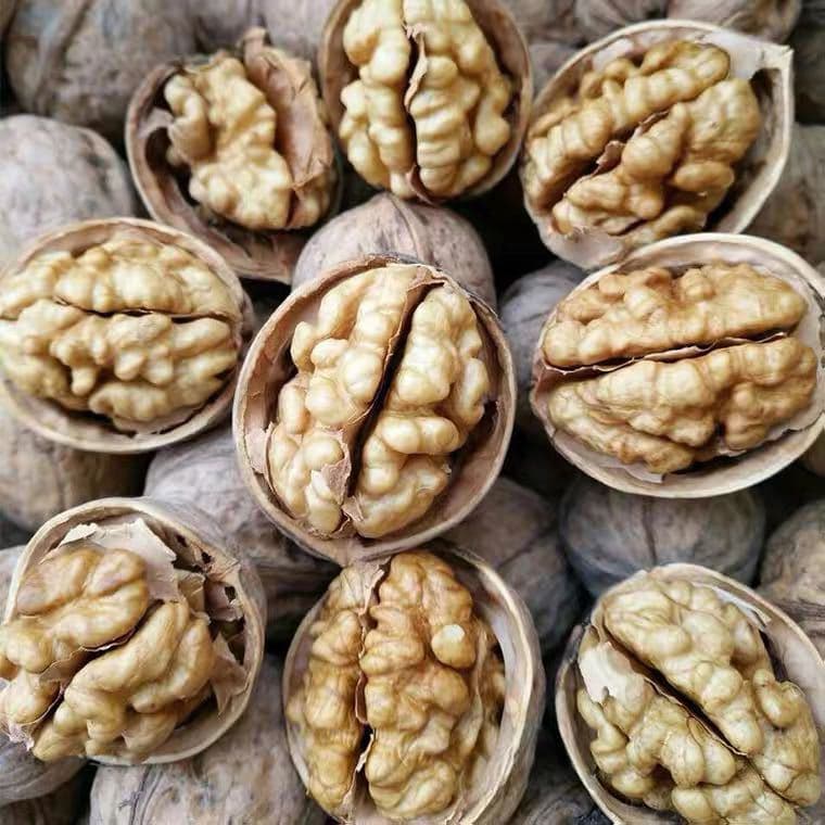 Lujia Fruit Source Xinjiang Aksu 185 Paper-shelled Walnuts 5 jin Pack (Direct from Xinjiang, Free Shipping, Unwashed) Specifications