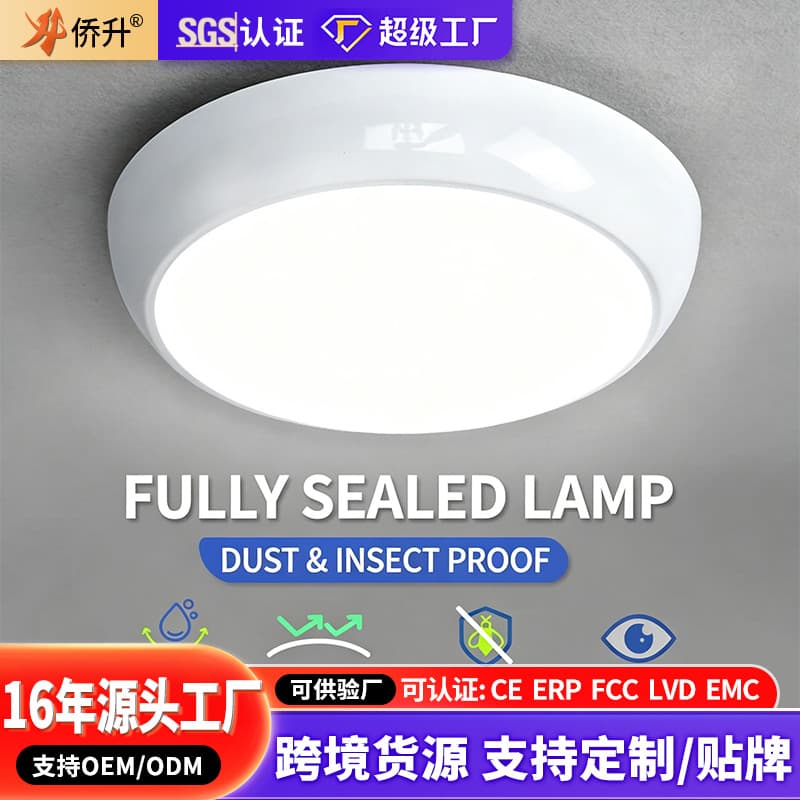 LED Three-Function Ceiling Light, Hallway Ceiling Light