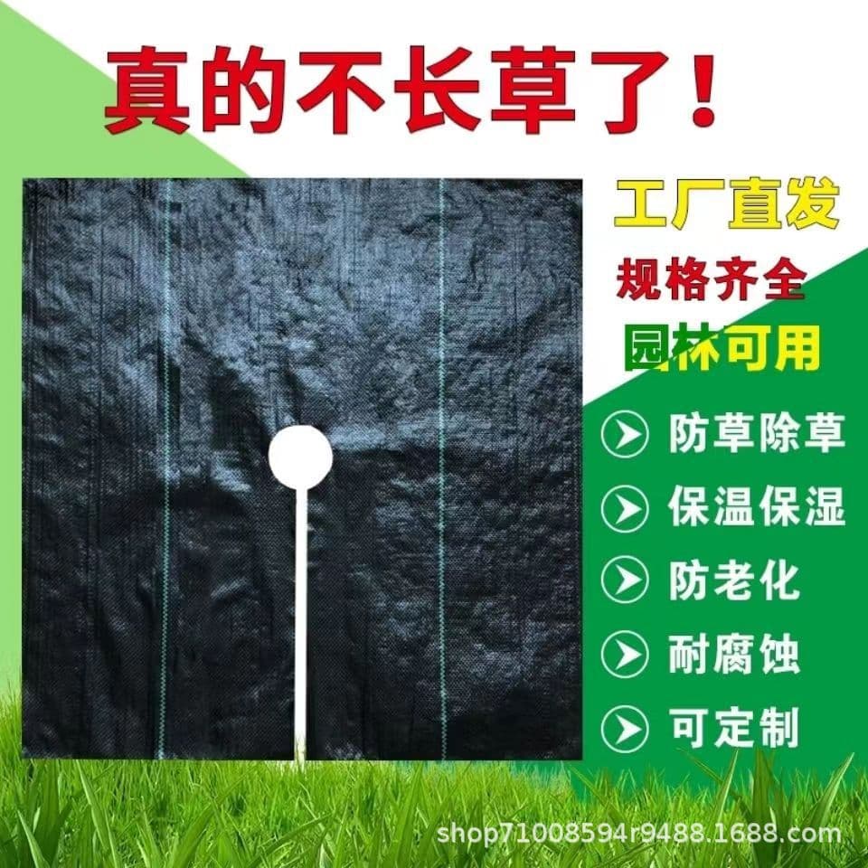 Cross-Border Supply of PE Perforated Weed Control Fabric, Permeable, Breathable, and Anti-Aging Agricultural Ground Cover