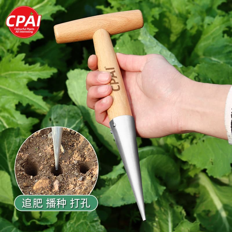 Seedling transplanter, topdressing tool, stainless steel handle hole puncher, seedling sower, garden succulent seedling puncher