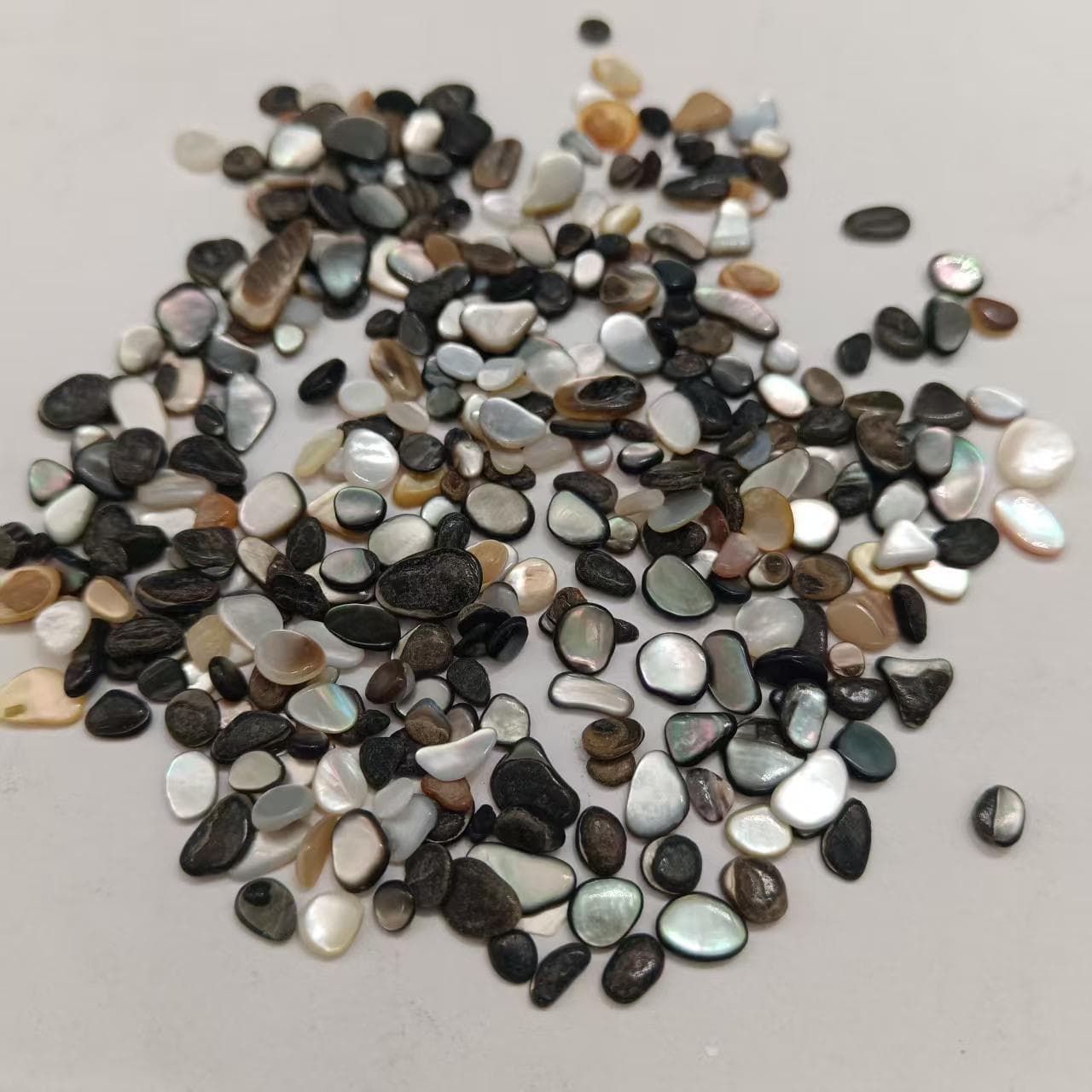 Black butterfly shell black and white shell gravel terrazzo decoration fish tank bottom flower pot paving shell gravel