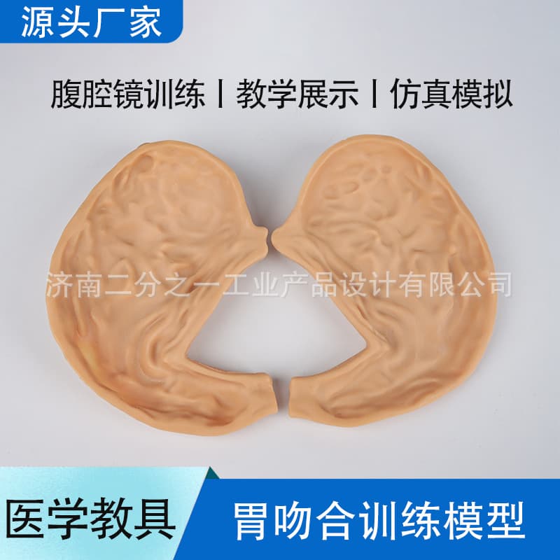Gastric Anastomosis Laparoscopic Simulation Training Suturing and Cutting Practice 3D Module for General Surgery