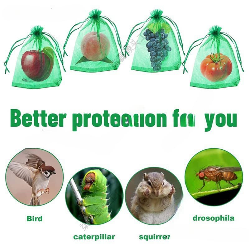 Fruit Protection Bag for grapes and berries, insect and bird-proof mesh fruit bag