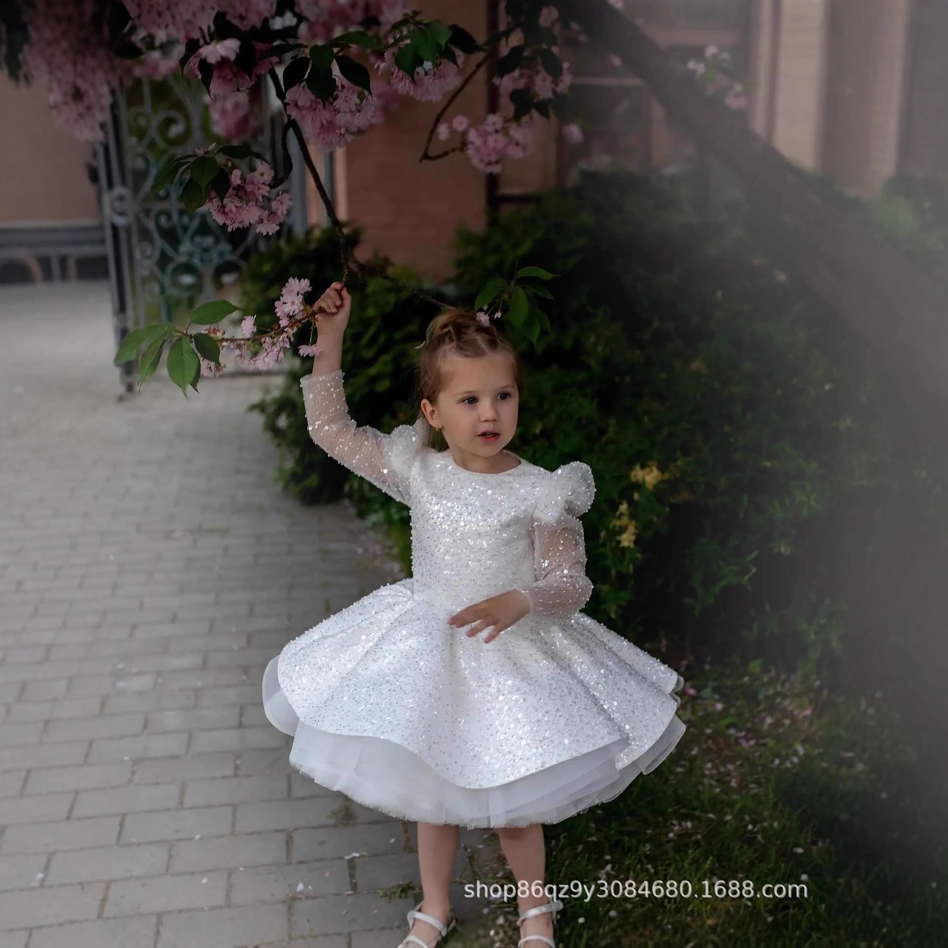 First Communion Dress Long Sleeve Tulle Sequin Dress Flower Girl Dress Annual Meeting Christmas Prom Evening Gown