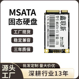 Customizable mSATA SSD 1TB/2TB Large Capacity Storage for Desktop Laptop All-in-One Upgrade