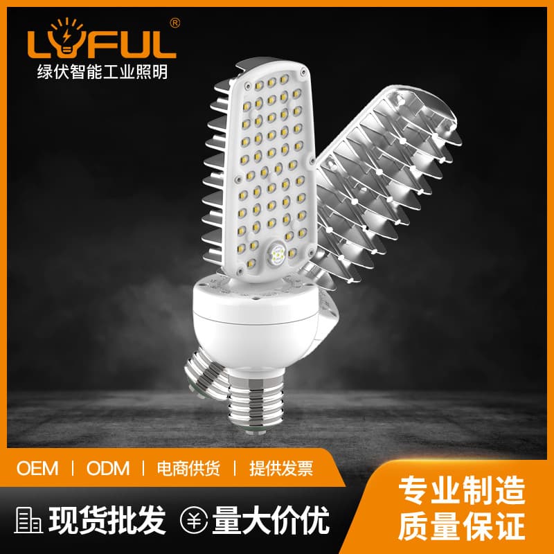 WP2 street light bulbs, LED horizontal plug-in lights, 30W, 40W, 50W waterproof bulbs, replacement for sodium lamps and metal halide lamps, light source upgrade.