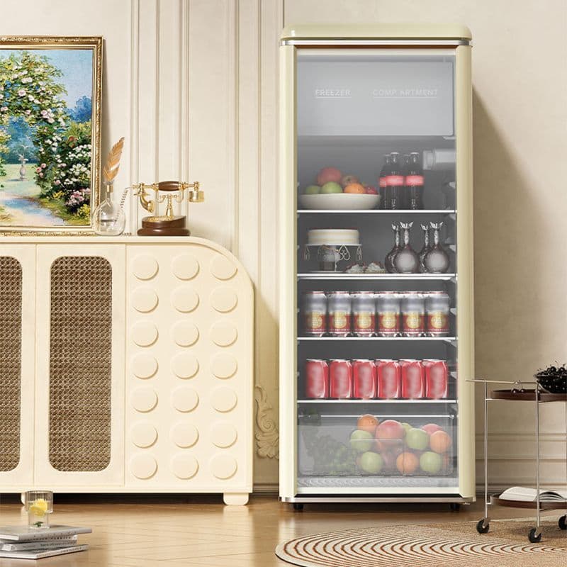 Rongshida Retro Beverage Cooler Small Refrigerator Display Cabinet Glass Door Office Tea Drink Fresh Keeping