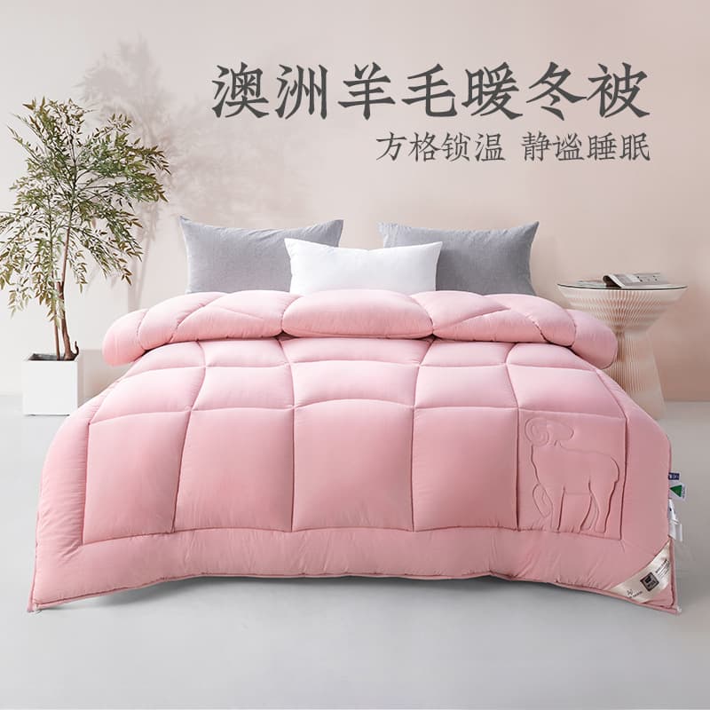 Yuanmeng Australian Wool Double-Layer Warm Winter Quilt Core Home Quilt Warm Winter 2-meter Quilt