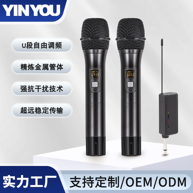 Wireless Microphone One-to-Two FM Microphone Home KTV Conference Outdoor Live Singing Mic Factory Outlet