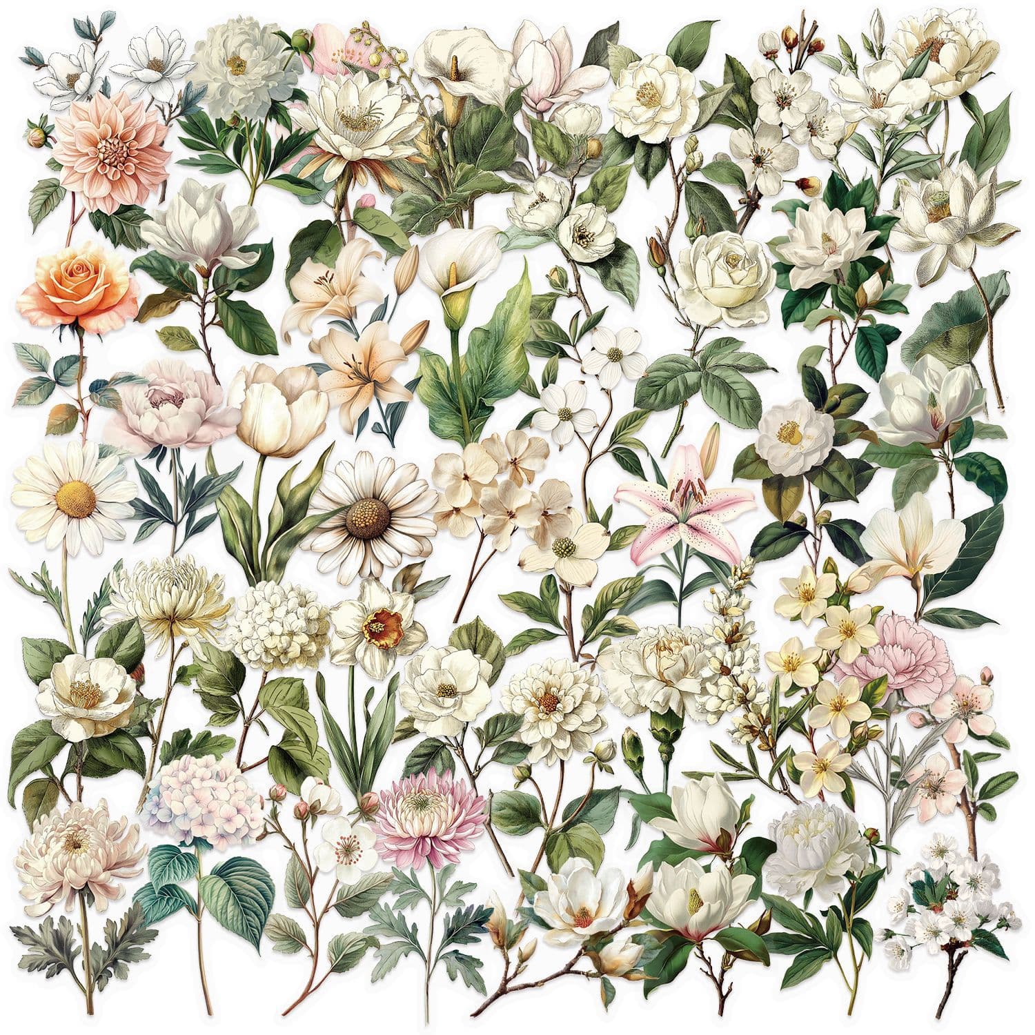 50 Sheets Transparent Vintage Long Stem Flower Sticker Pack Waterproof Clear PET for Journal Decoration Guitar Notebook Wholesale