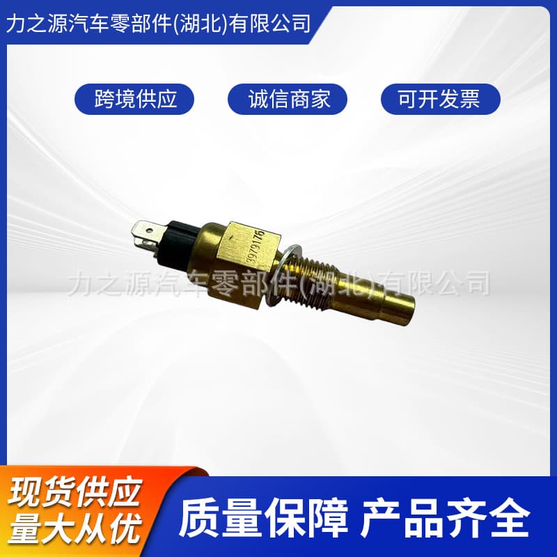 Suitable for Cummins Engine Parts Water Temperature Sensor 3979176