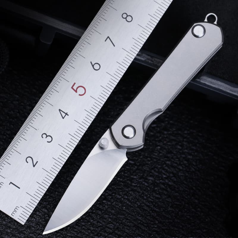 Titanium Alloy Small Knife Mini EDC Keychain Portable Fruit Knife Outdoor Folding Knife High Hardness Self-defense Express Knife