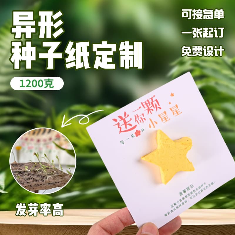 Seed Paper 3D Star Gift You a Little Star Plantable Sproutable Handmade Paper Star Customization