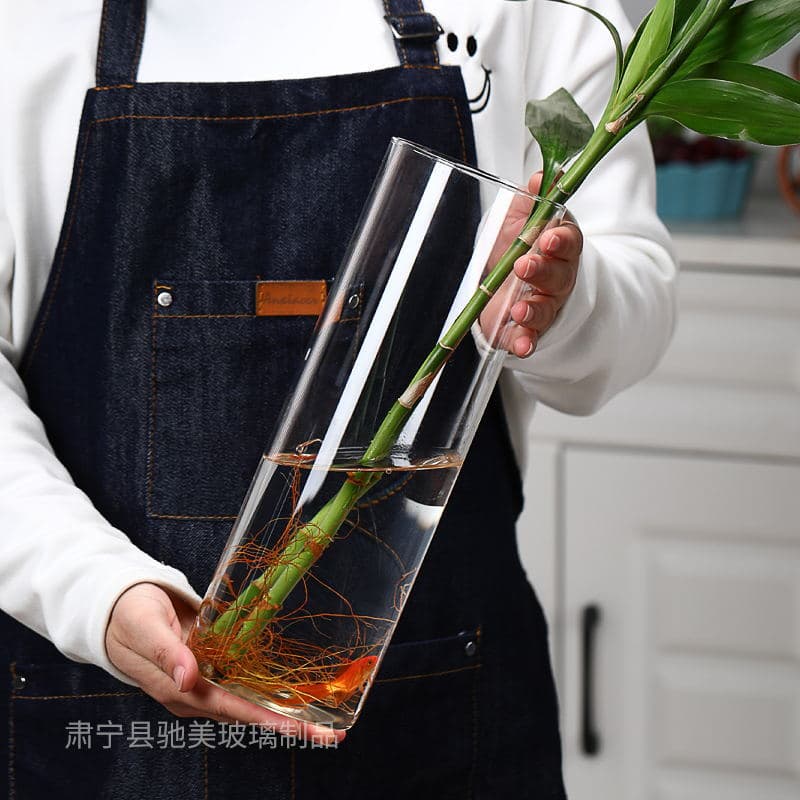 Support customization of large floor-standing high borosilicate glass hydroponic plant bottles, transparent vases, straight round glass jars