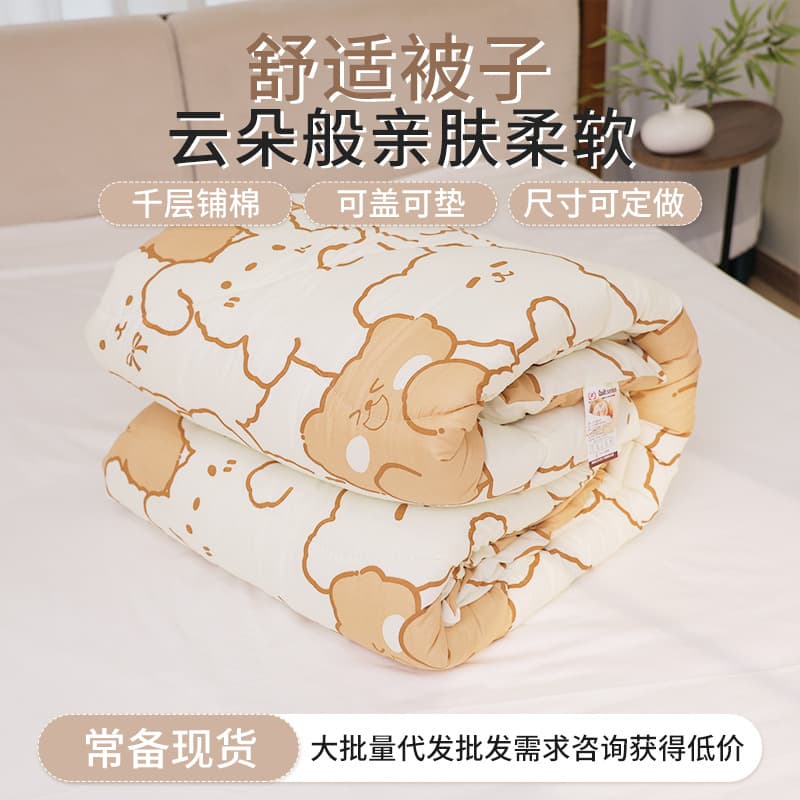 Pillowcase Instagram aesthetic high-value cloud-comfort quilt silk-cotton printed cartoon minimalist spring/autumn cotton bedding