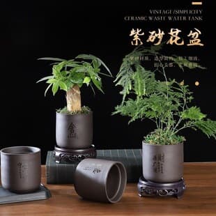 Purple Clay Small Flower Pot Junzi Lan Purple Clay Succulent Plant Pot Money Tree Purple Clay Pot Ceramic Potted Plant with Tray N4