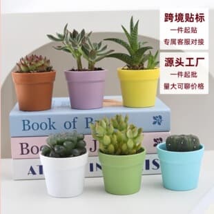 Plastic Resin Flower Pot New Succulent Pot Gallon Pot Wholesale Multifunctional Small Flower Pot Universal Set Cross-border