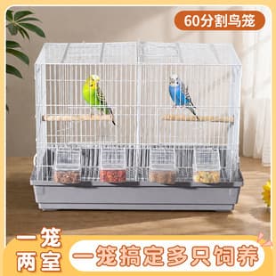 Budgie Bird Cage for Zebra Finch, Diamond Dove, Lovebird, and Parrotlet - Ornamental Iron Breeding and Dividing Cage