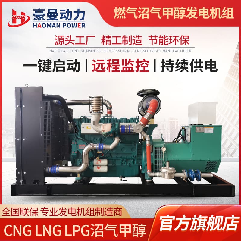150KW Natural Gas Generator Set 120KVA Methanol Generator 100KW Biogas Generator for Farm Use