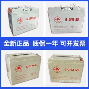 Torch Maintenance-Free Compact Battery 6GFM65/85 Gel Battery for Golf Carts and Pallet Trucks
