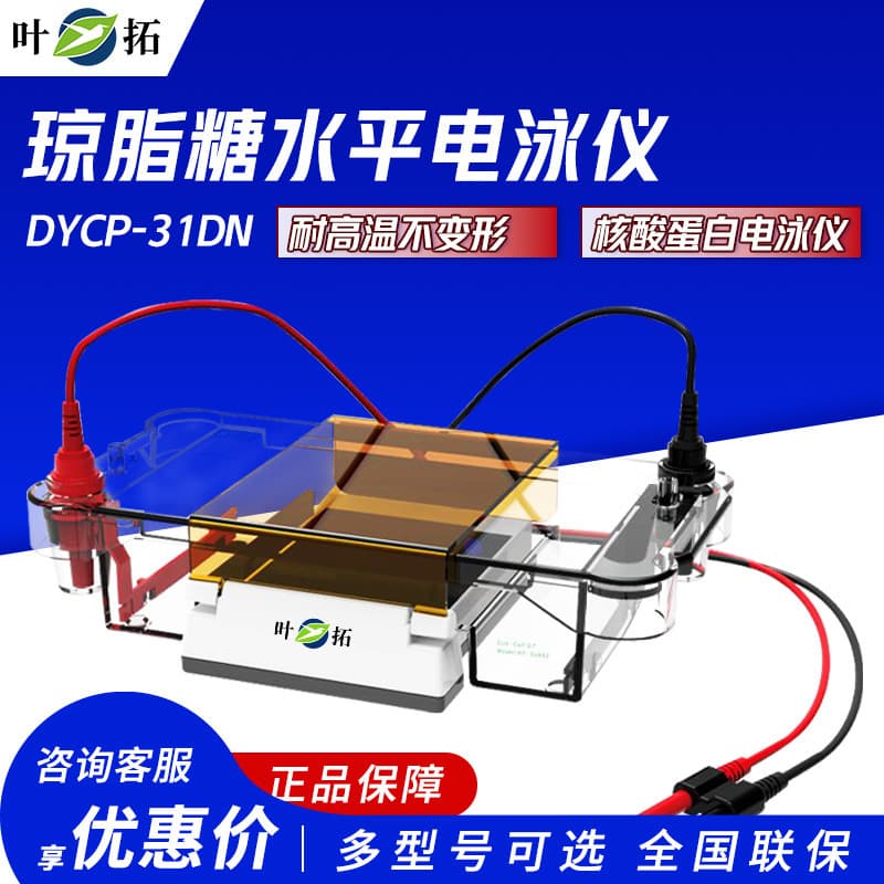 Shanghai Yetuo YT-MINI2 Electrophoresis Apparatus, compatible with power supplies DYY-6C/6D, protein electrophoresis system
