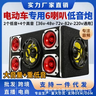 Factory wholesale electric vehicle audio 78V84V car subwoofer dedicated Bluetooth speaker for electric car battery car home use