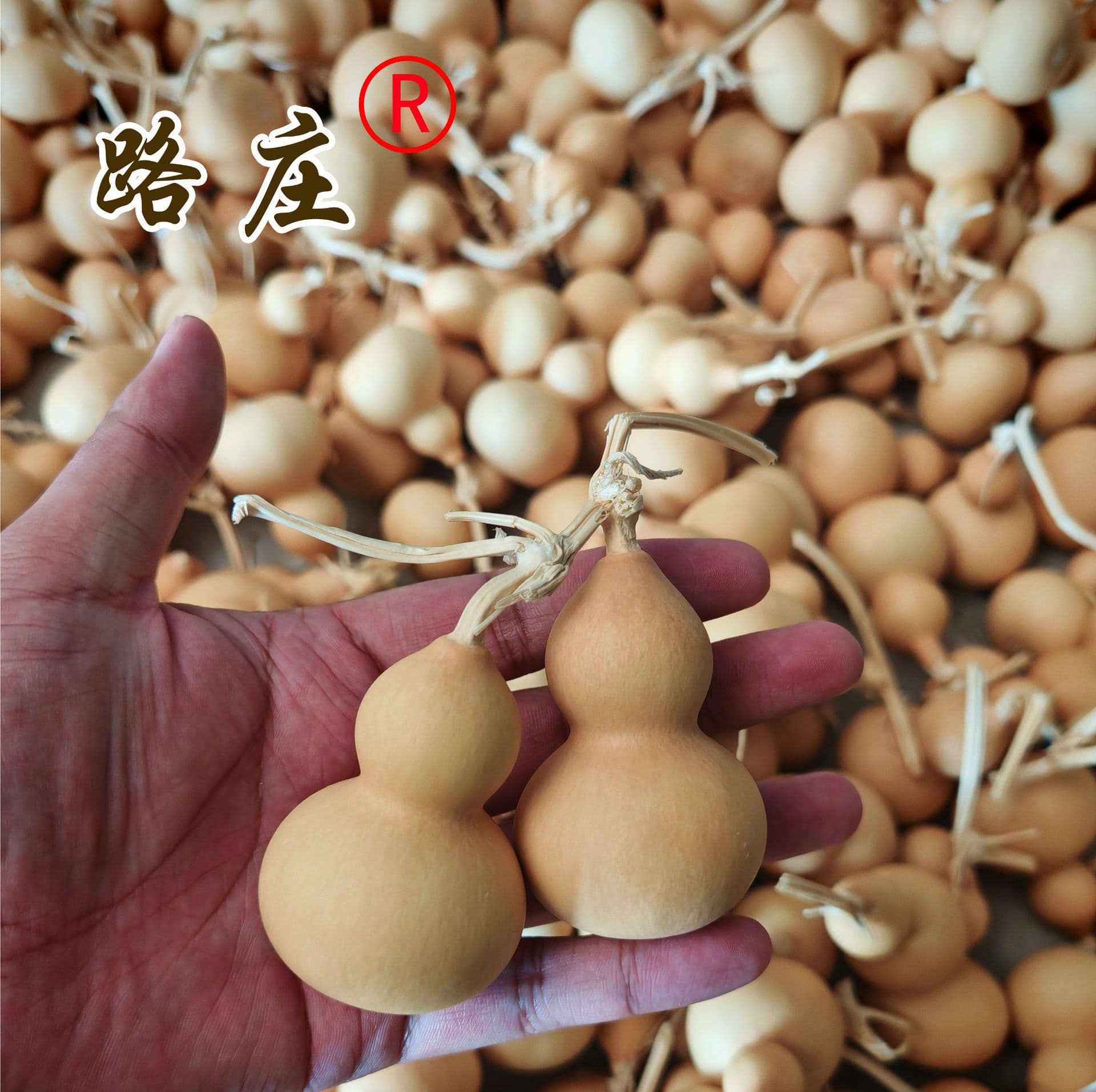 Gourd Wholesale Natural Hand-Twisted Gourd Wenwan Gourd Pendant Small Gourd Wholesale