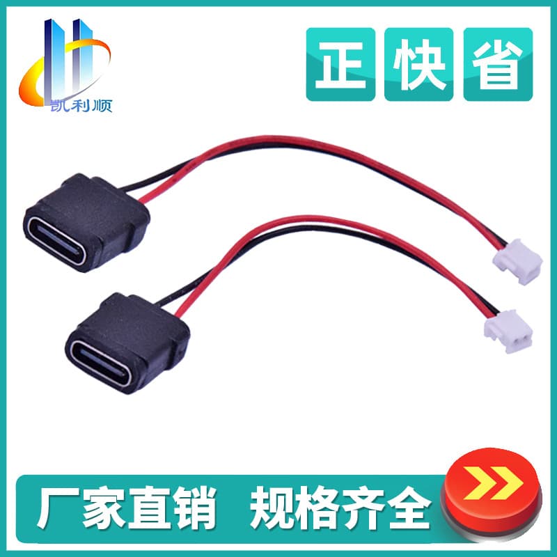 Type-C 2-Pin Waterproof Female USB Socket, Solder-Wire Injection Molded, 2 Solder Points, Waterproof Rubber Ring, Type-C Connector with Wire, No Ears