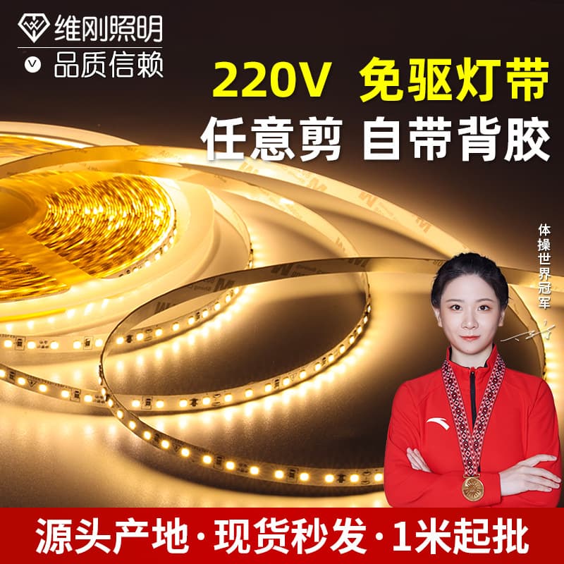 LED Strip Light 220V Three-Color Dimmable Linear Light High Voltage LED Strip 2835 Atmosphere Light Strip
