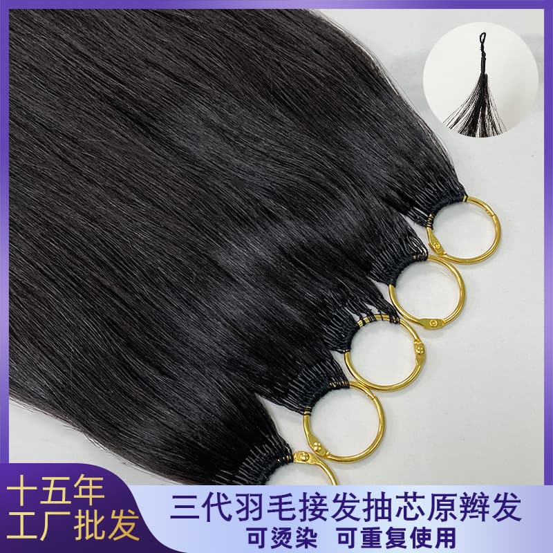Third Generation Feather Hair Extensions, Core-Removed Original Braided Hair, Crystal Thread Seamless Extensions, 100% Real Human Hair Wig