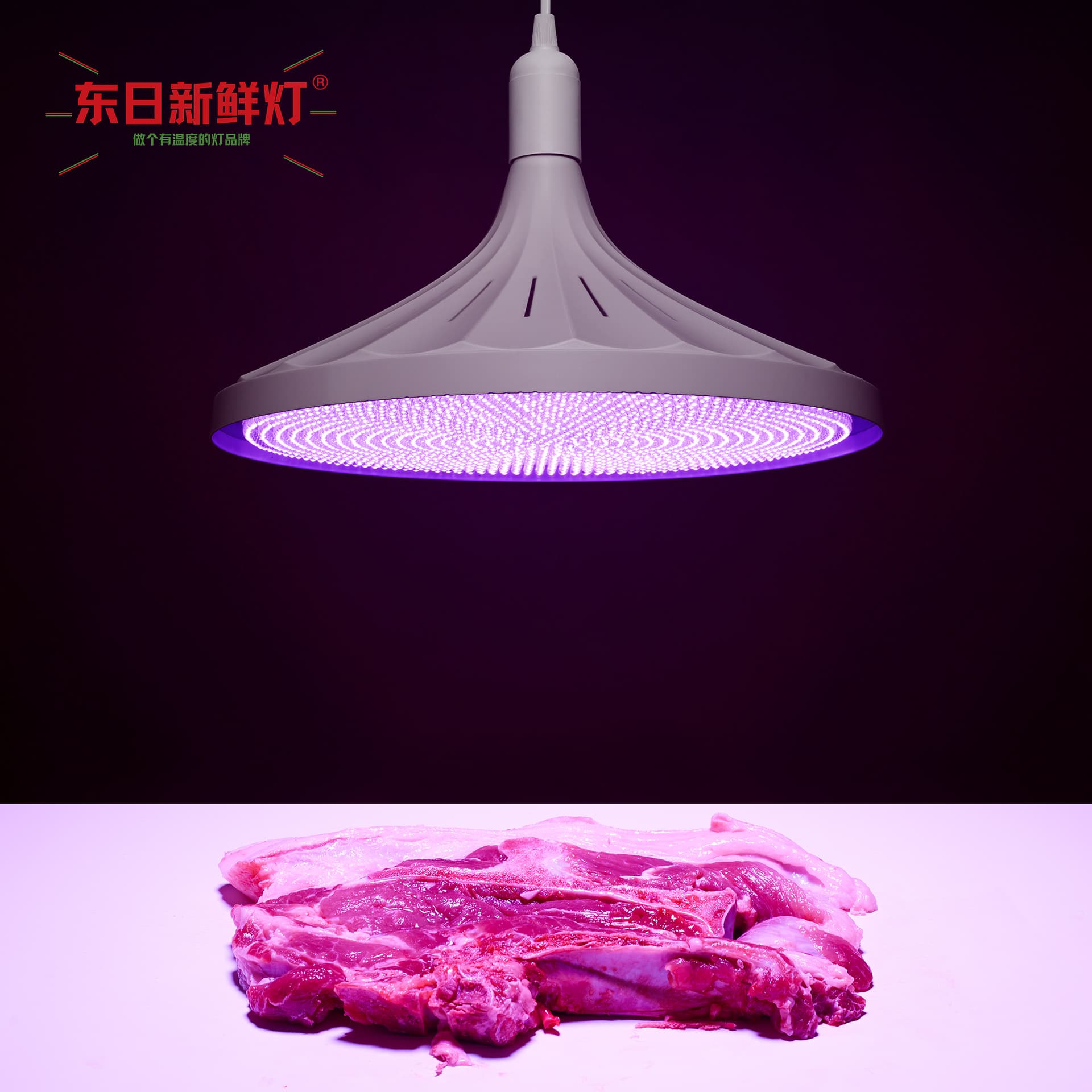 2024 New Model National Standard LED Dongri Fresh Light Natural Light for Seafood, Fruit, Refrigerated Markets