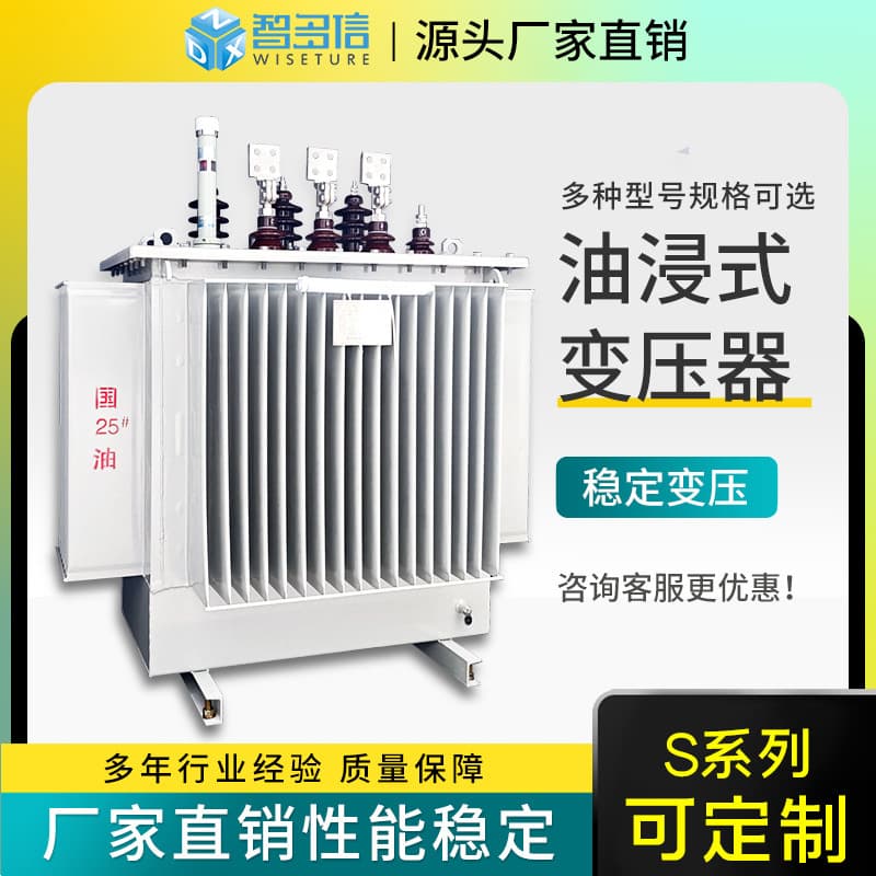 S13-10/400/800kVA Oil-Immersed Transformer High Voltage Three-Phase Large Power Transformer Custom Manufacturer