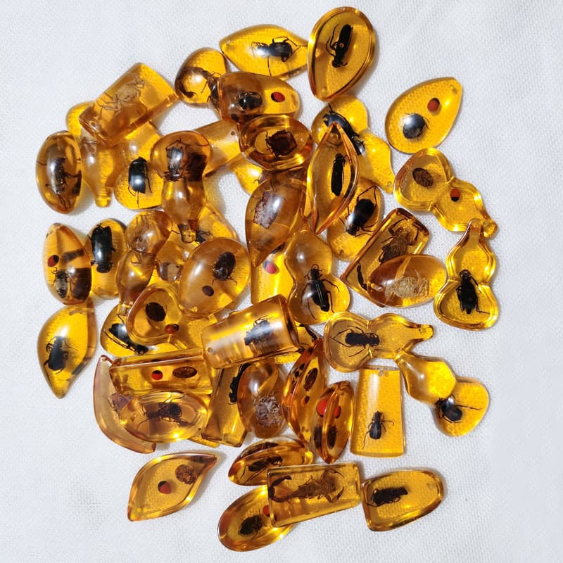 Small real specimen insect amber accessories, children's excavation archaeological toy blind box parts supplier factory in stock